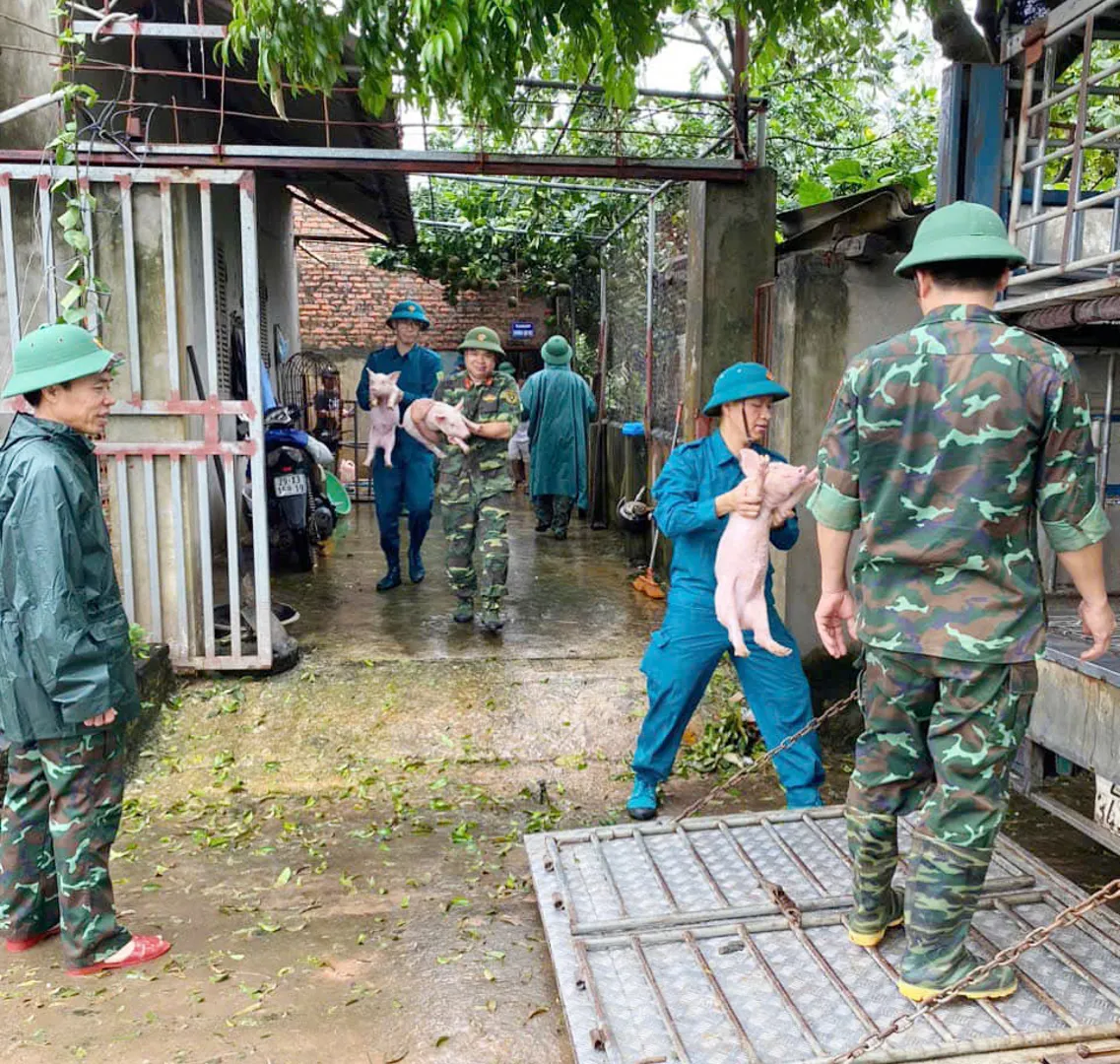 Huyện Đan Phượng: ứng trực 24/24 giờ, sẵn sàng phương án hộ đê