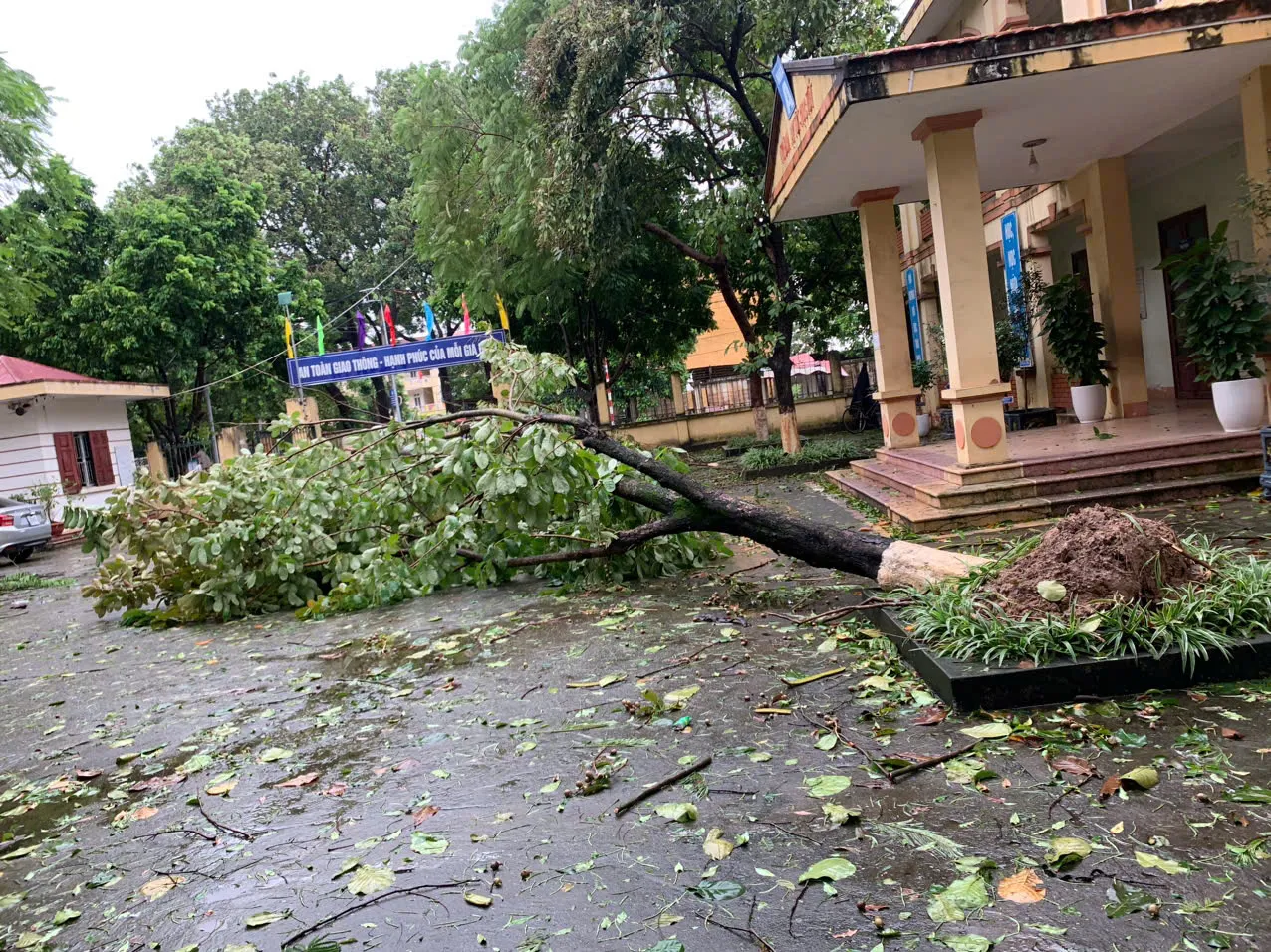 Bộ trưởng Bộ GD&ĐT: dừng cho học sinh đến trường nếu mất an toàn