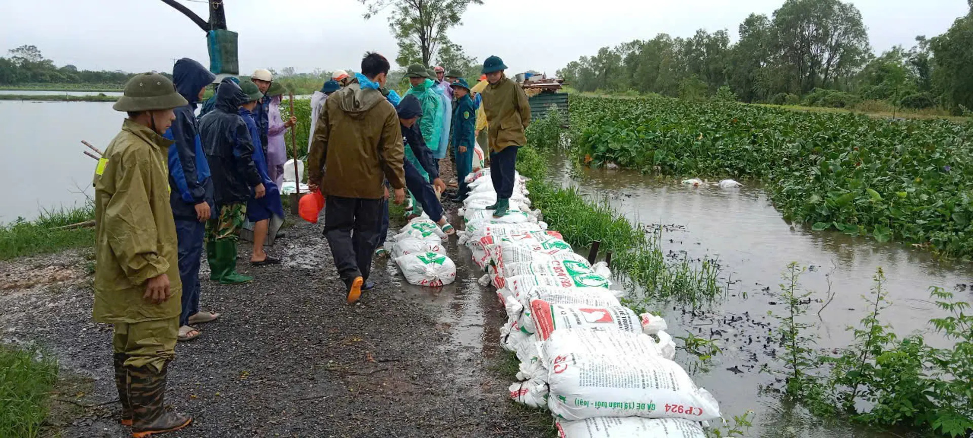 Huyện Thường Tín và Phú Xuyên tập trung ứng phó lũ lớn trên các tuyến sông