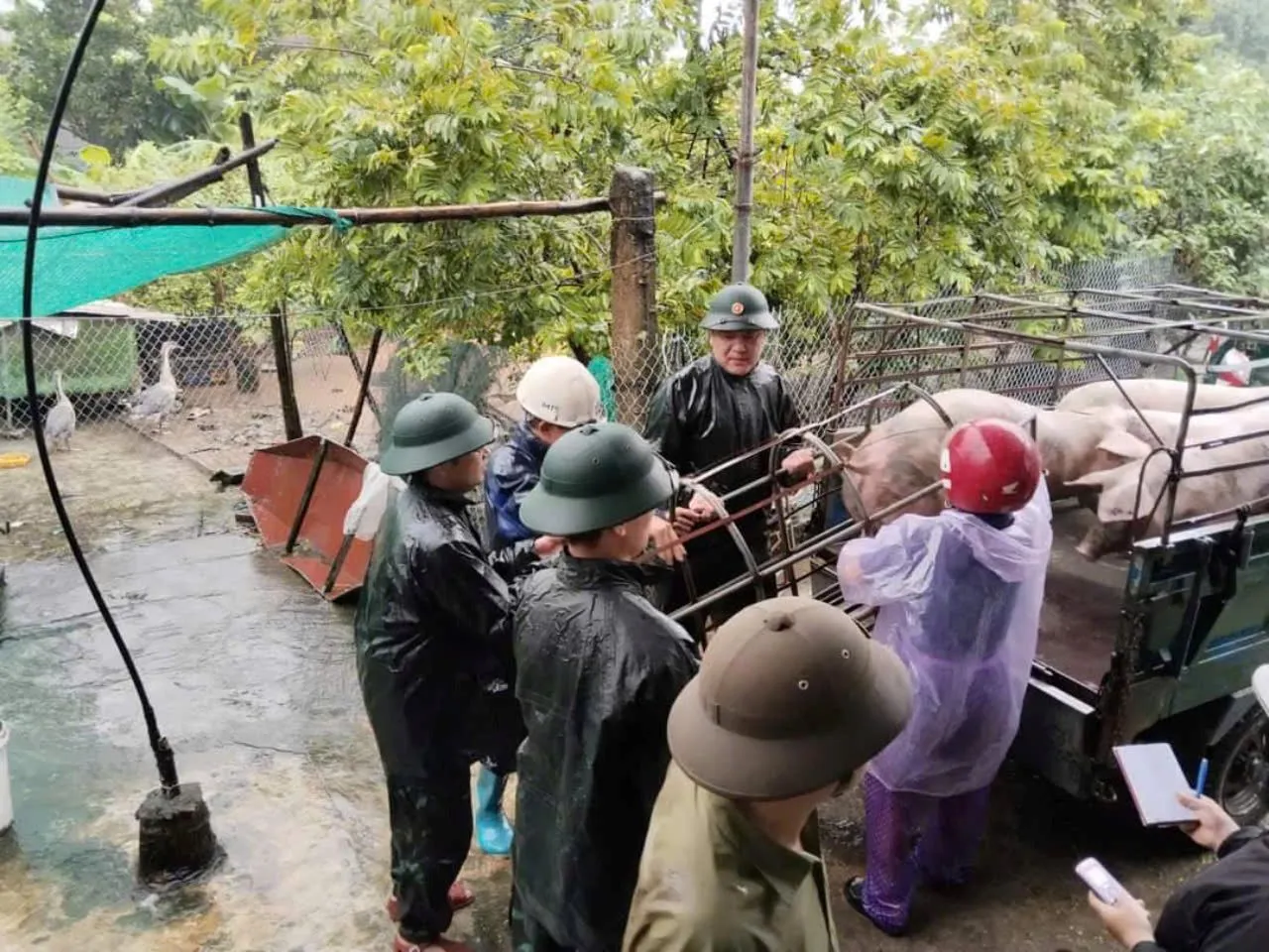 Nam Định: đê sông ở huyện Ý Yên bị tràn