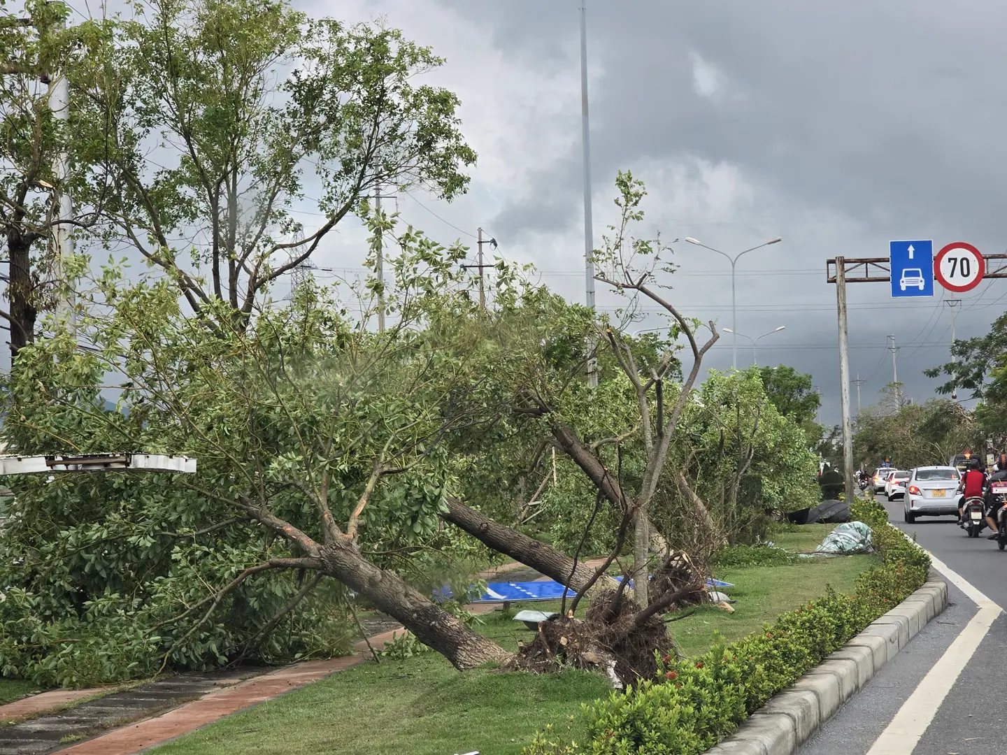 Hải Phòng: tích cực thu dọn vệ sinh, cây gẫy đổ sau bão