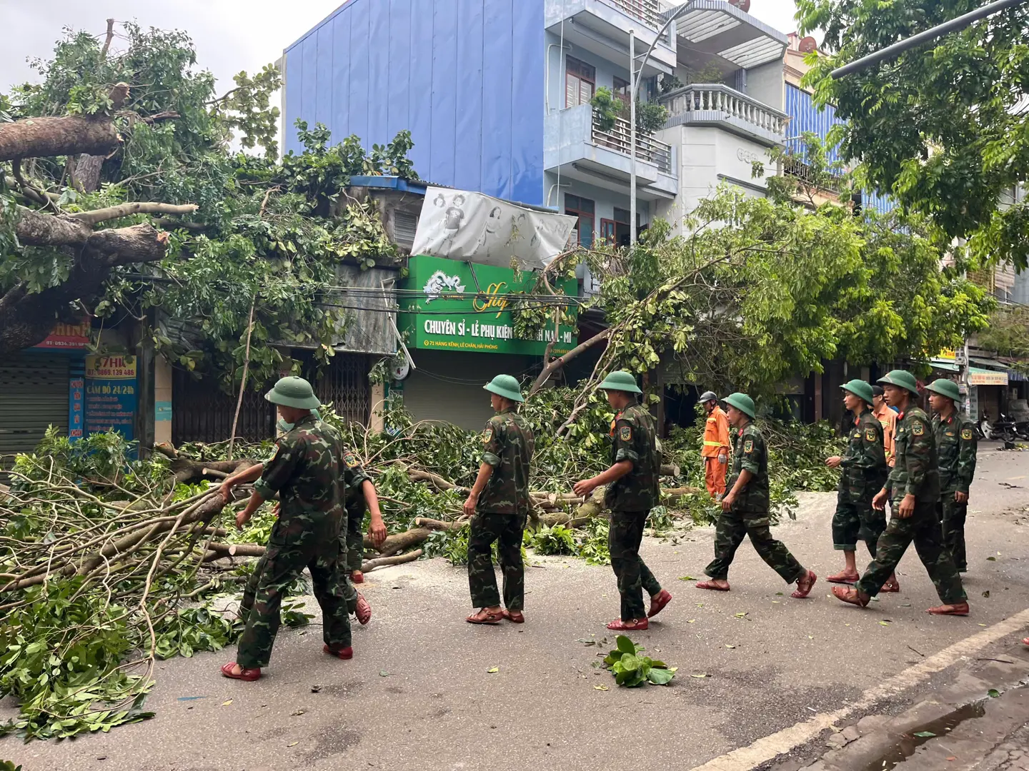 Hải Phòng: huy động 300 cán bộ, chiến sĩ cùng ra quân thu gom cây đổ