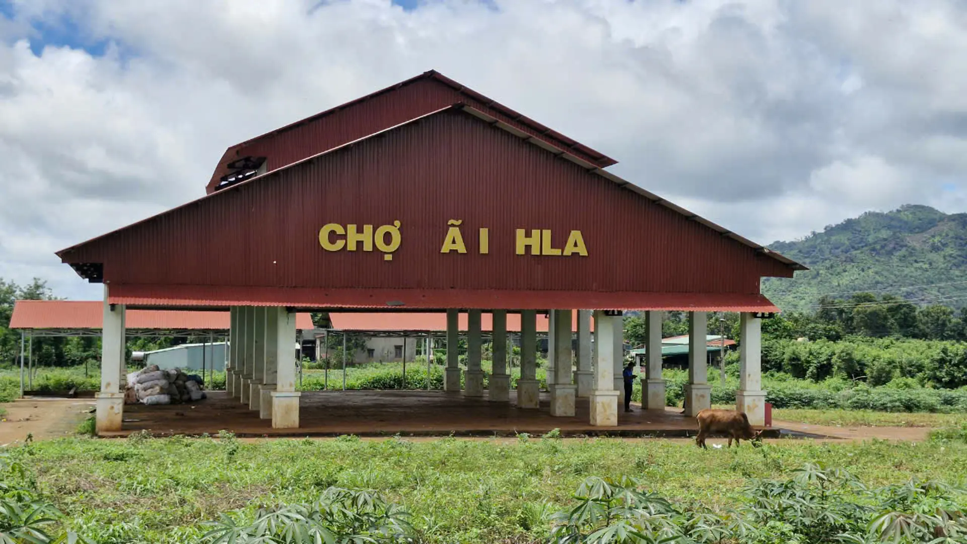 Gia Lai: chợ xây xong bỏ hoang gây lãng phí