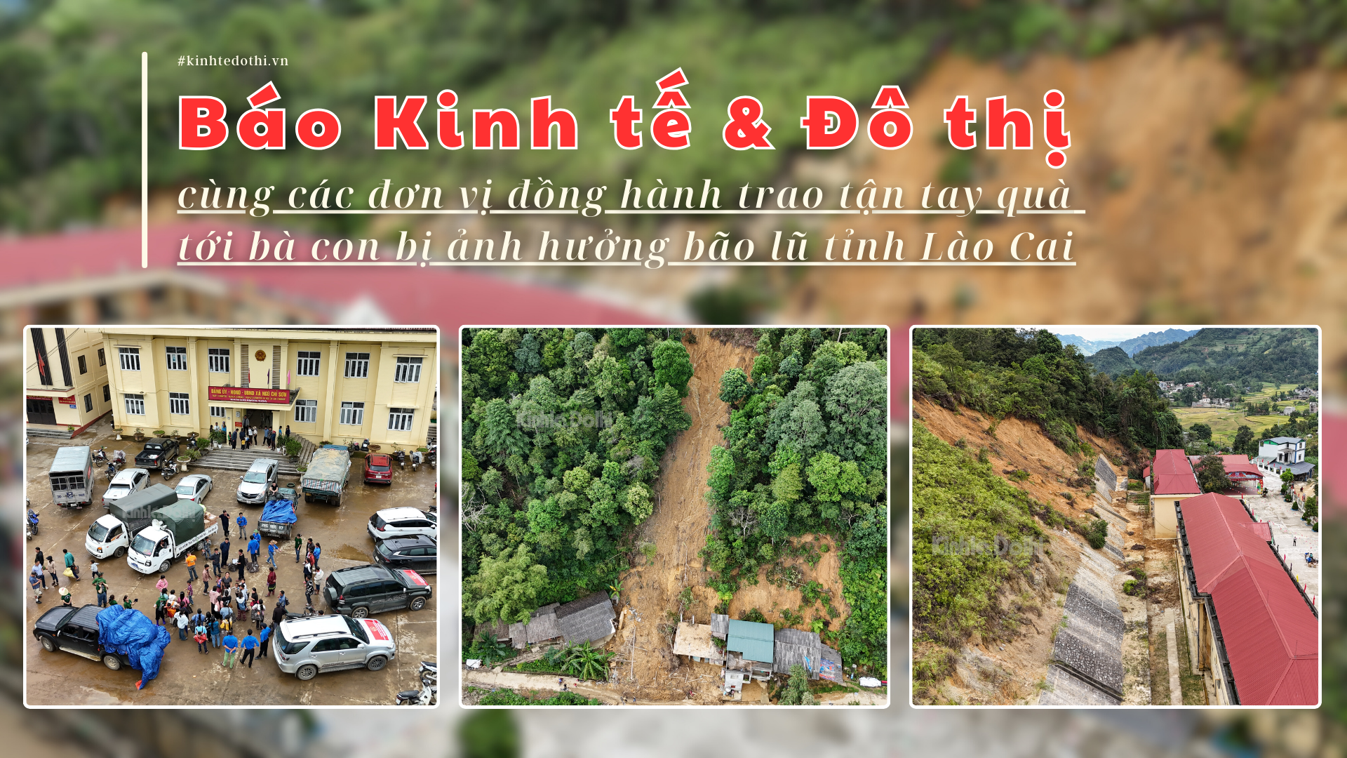 Bầu ơi thương lấy bí cùng
