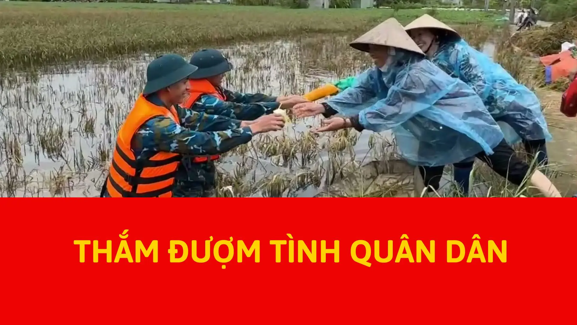 Thắm đượm tình quân dân