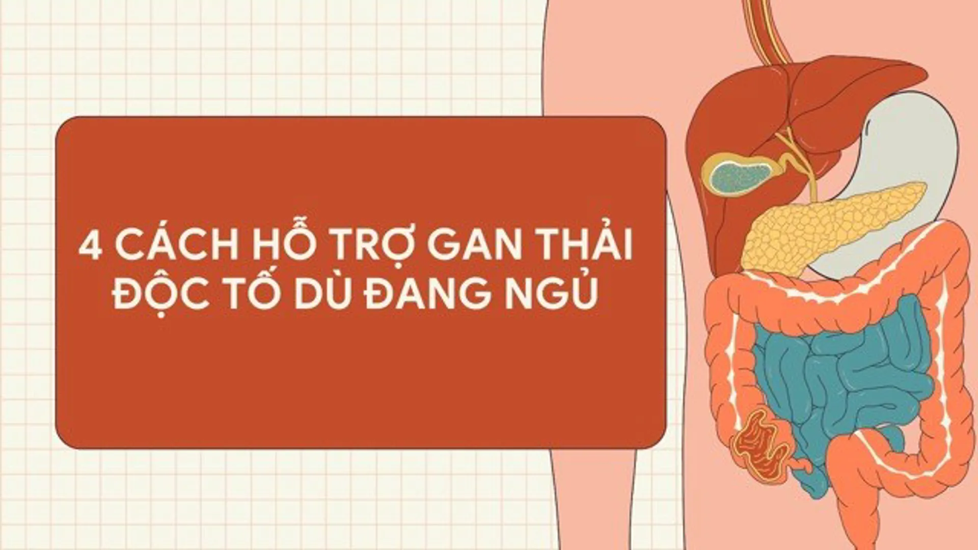 4 cách hỗ trợ gan thải độc tố dù đang ngủ