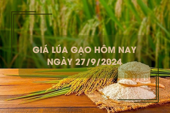 Giá lúa gạo hôm nay 27/9: giá gạo giảm 50 - 200 đồng/kg