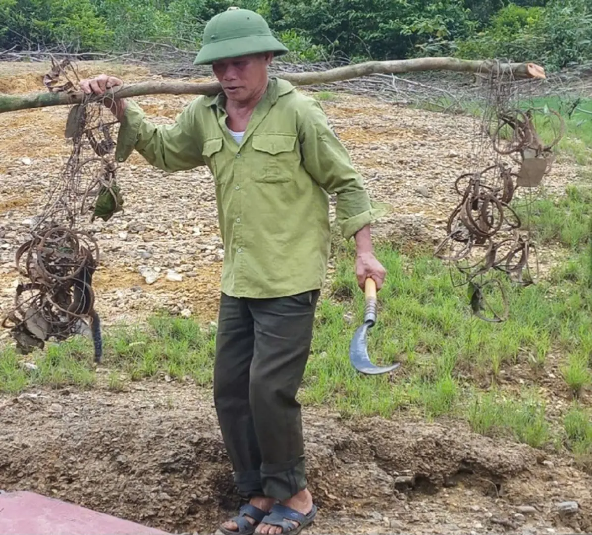 Hà Tĩnh: ra quân gỡ bẫy thú rừng mùa mưa