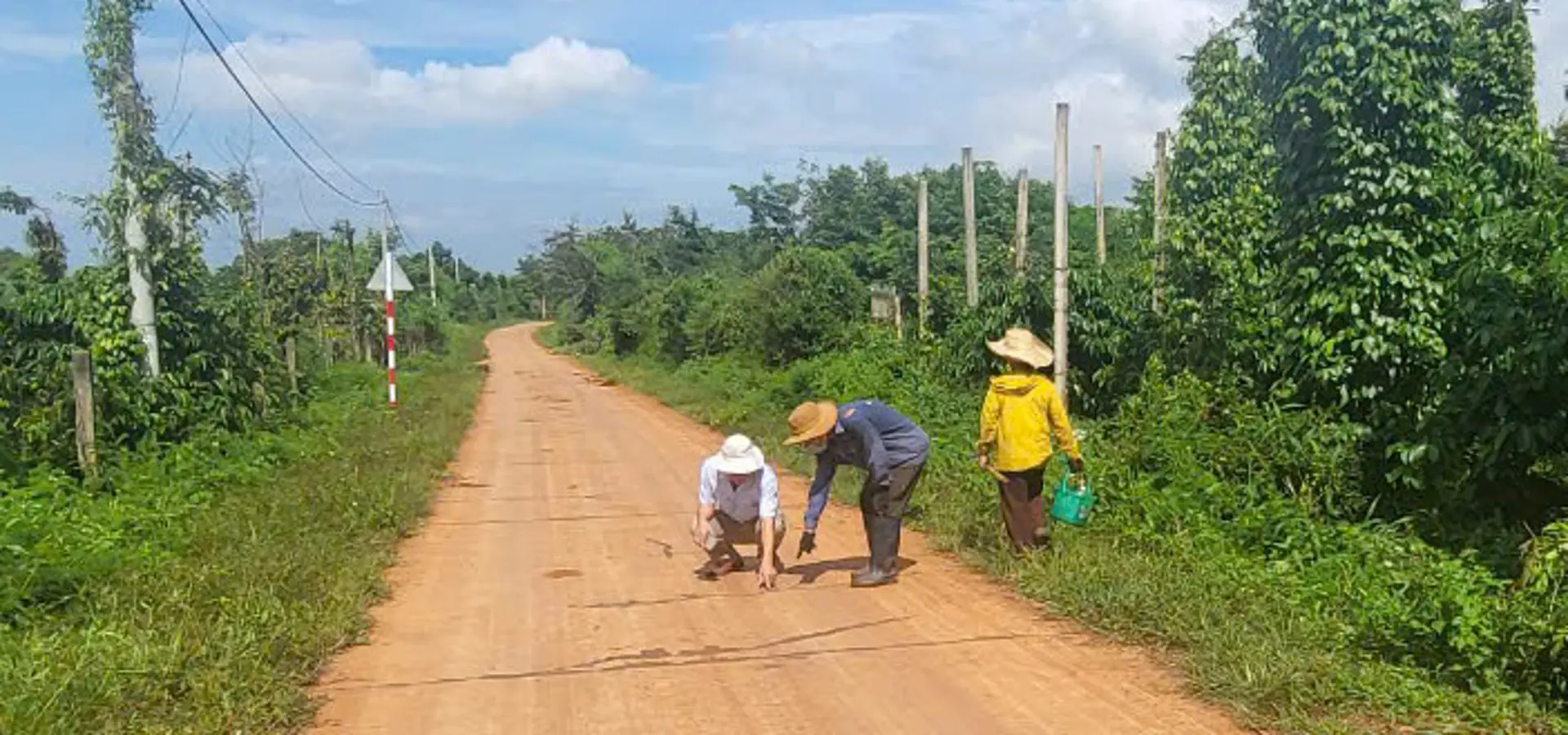 Đắk Lắk: đường bê tông hơn 7 tỷ nứt xé chằng chịt vẫn được nghiệm thu