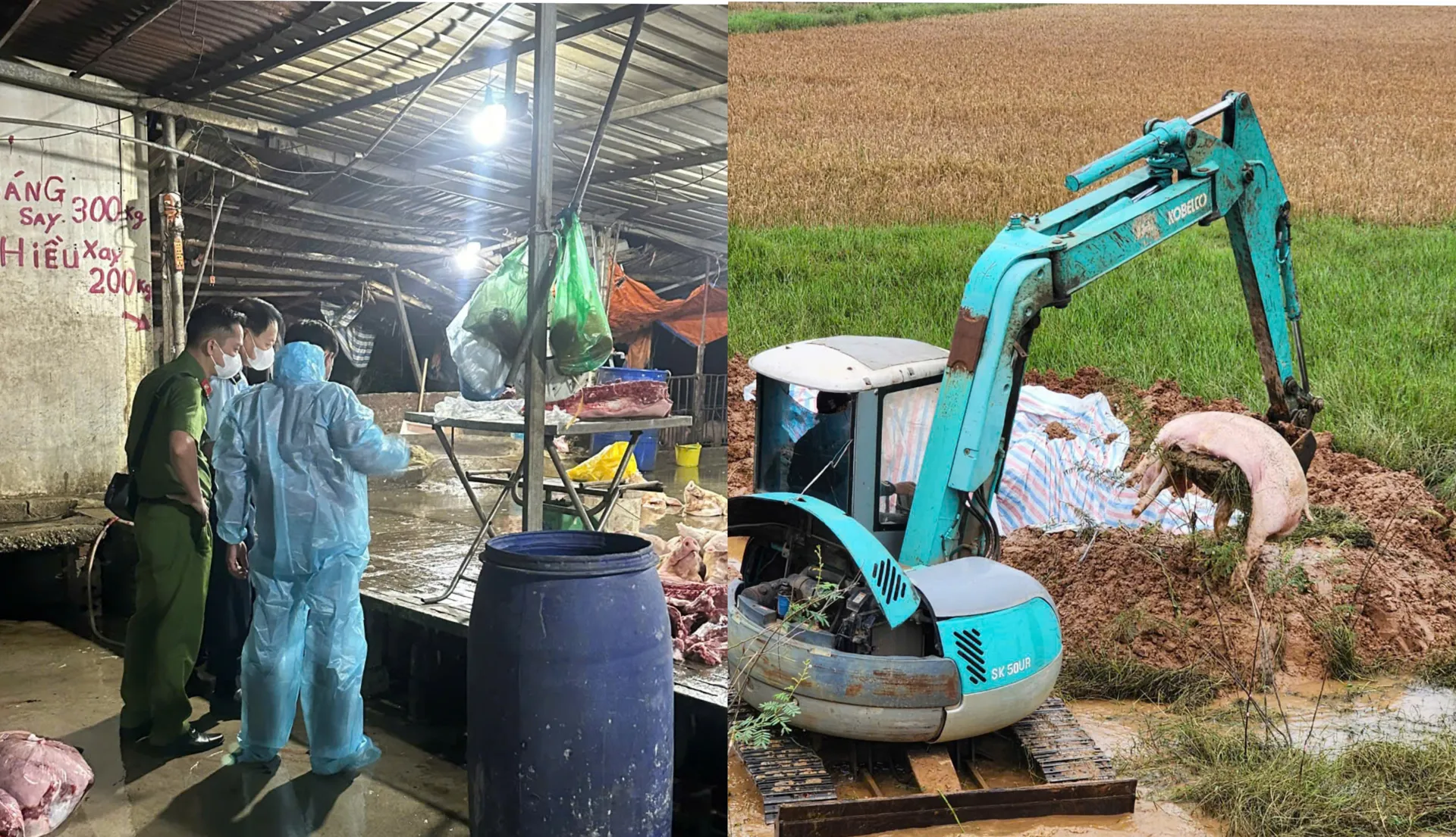 Cơ sở giết mổ chứa gần 3 tấn thịt lợn nhiễm bệnh dịch ở Chương Mỹ