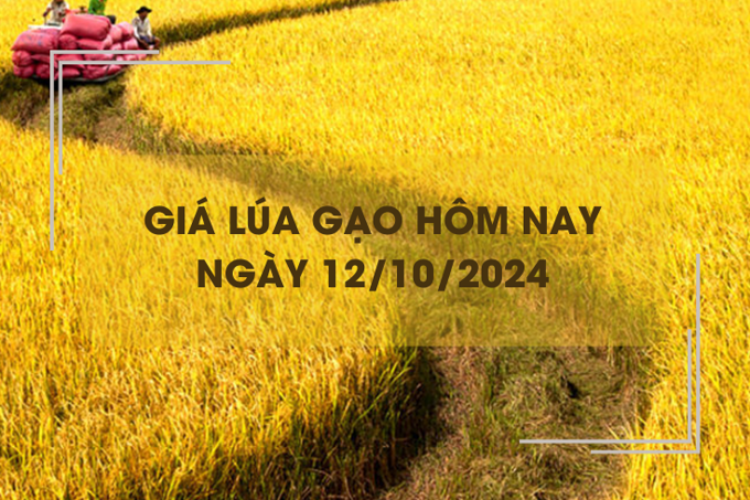 Giá lúa gạo hôm nay 12/10: giá gạo tăng giảm trái chiều 