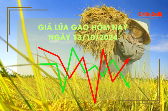 Giá lúa gạo hôm nay 13/10: giá gạo tăng nhẹ