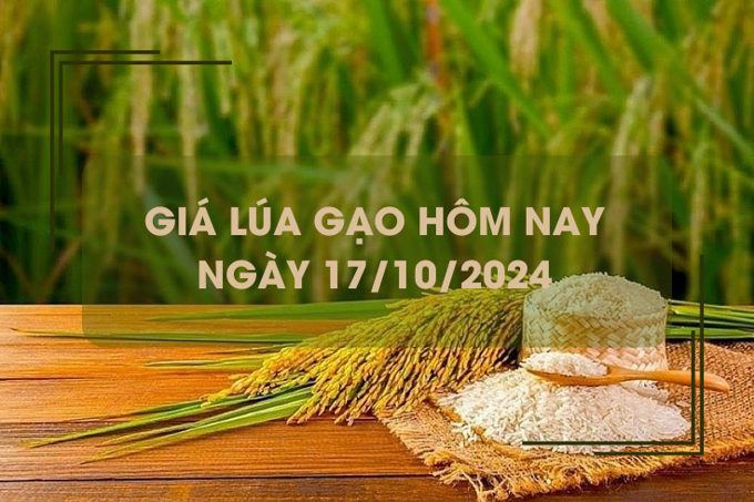 Giá lúa gạo hôm nay 17/10: giá gạo trong nước giảm nhẹ