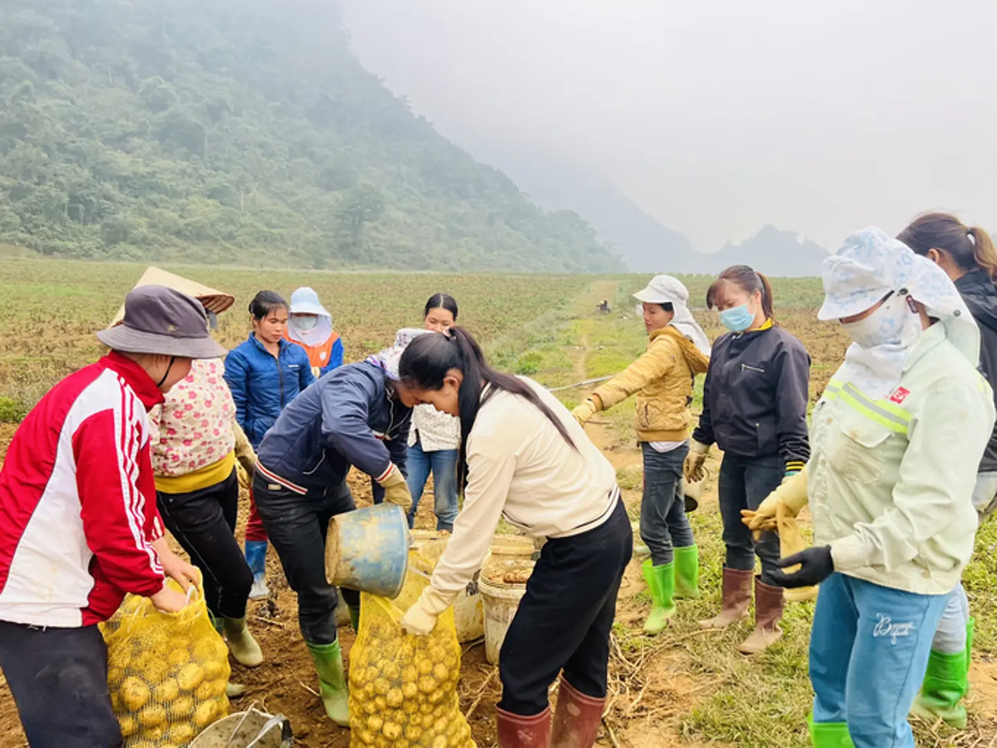 Hoà Bình: mô hình hợp tác xã hiệu quả tại huyện Tân Lạc