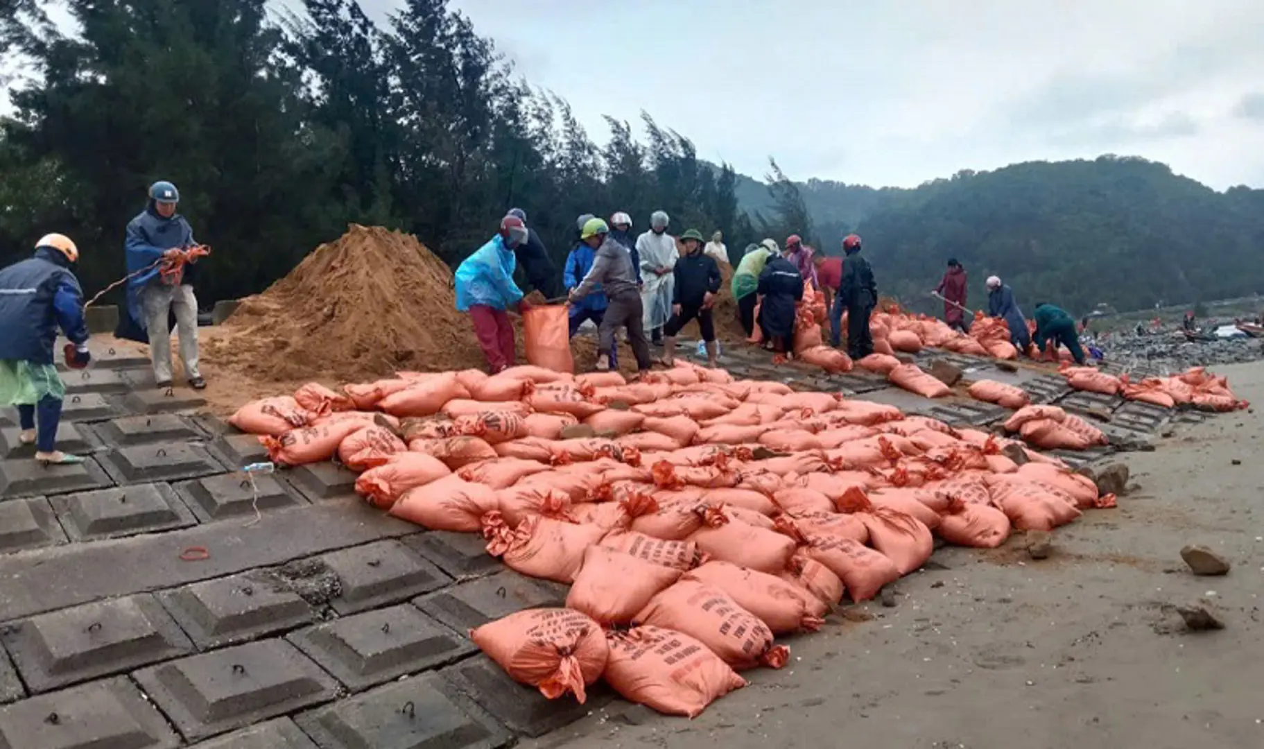 Hà Tĩnh: ứng phó với sự cố mất an toàn các tuyến đê ven biển