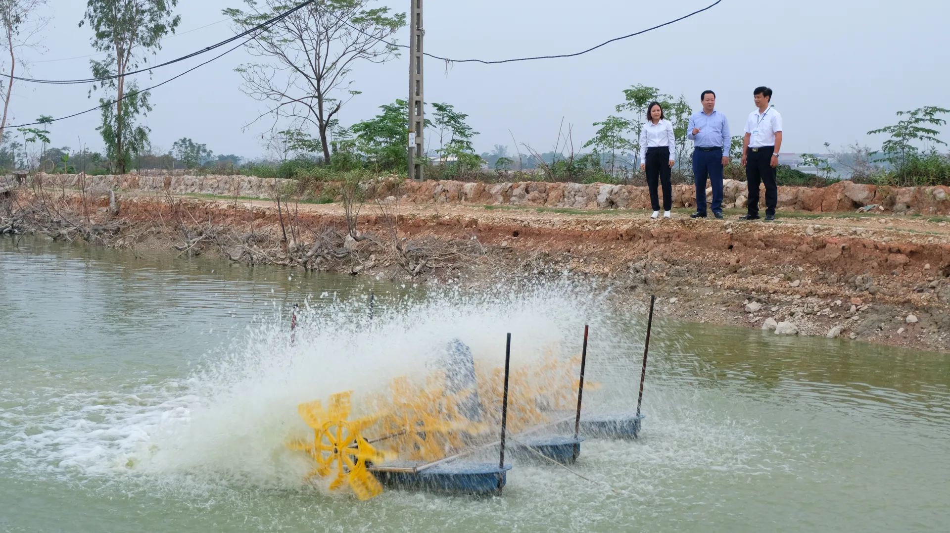 Hà Nội: đến năm 2030, hình thành thị trường sản phẩm nông nghiệp tuần hoàn