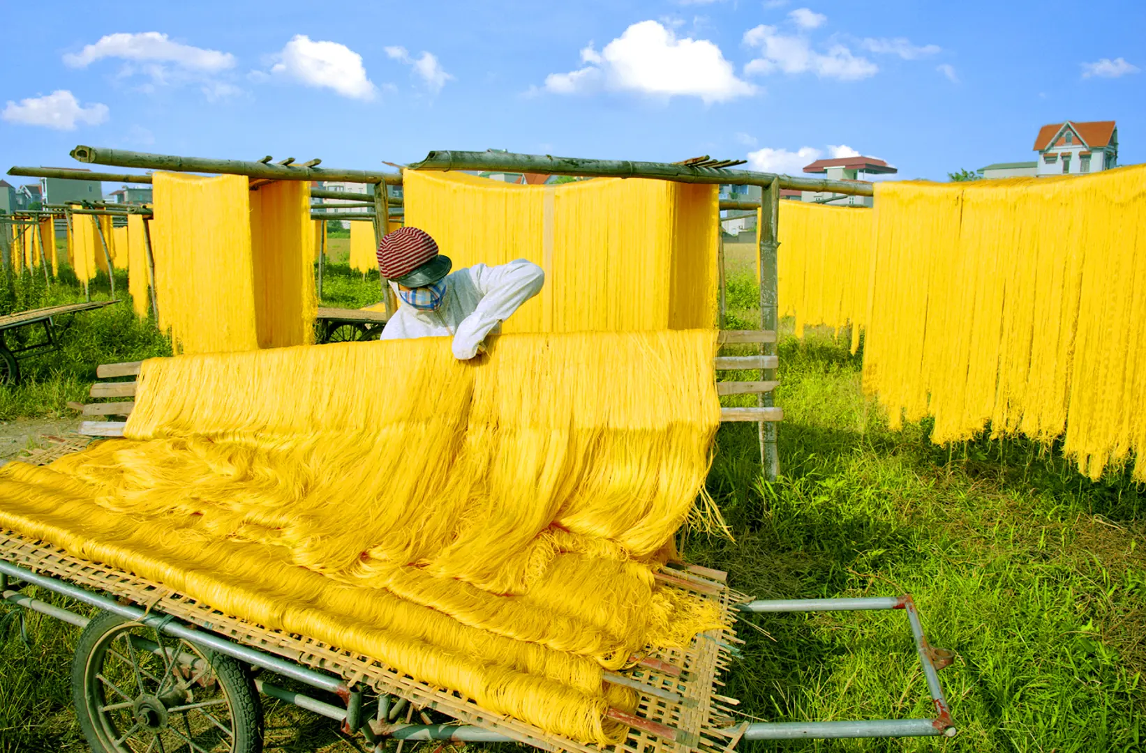 Làng miến Phú Diễn tất bật vào vụ Tết