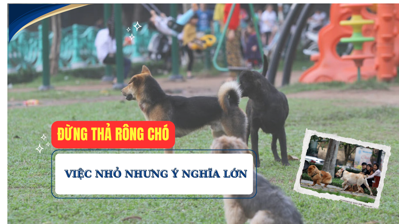 Ảnh podcast Ảnh podcast