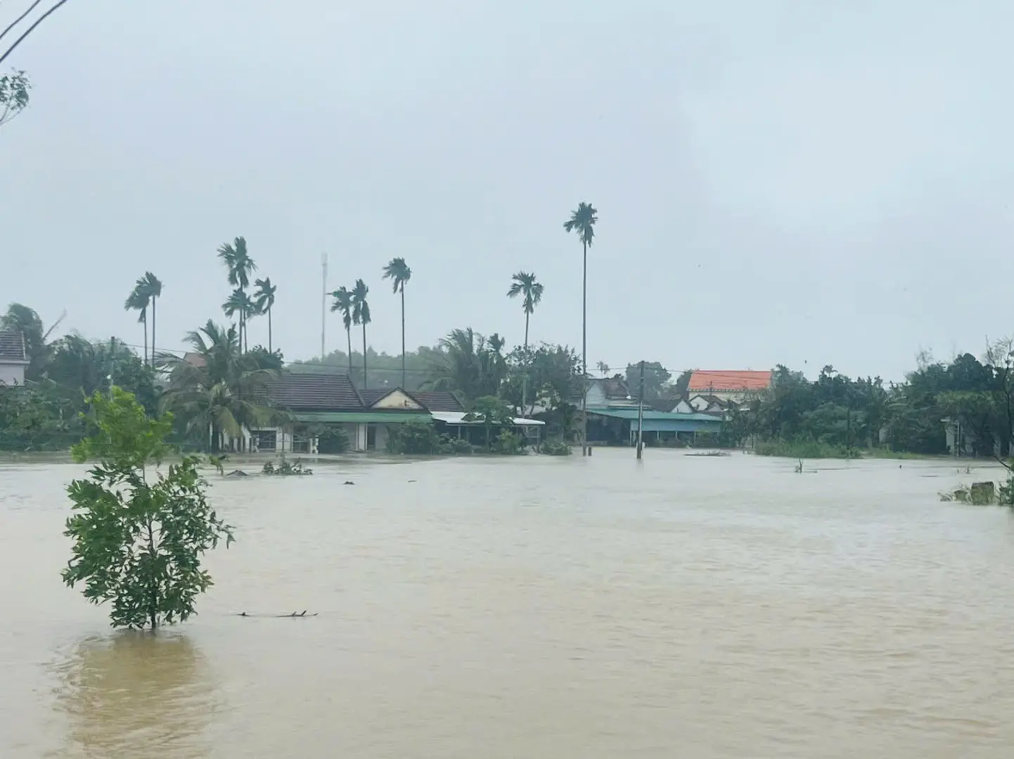 Quảng Ngãi di dời dân vùng bị ngập nặng