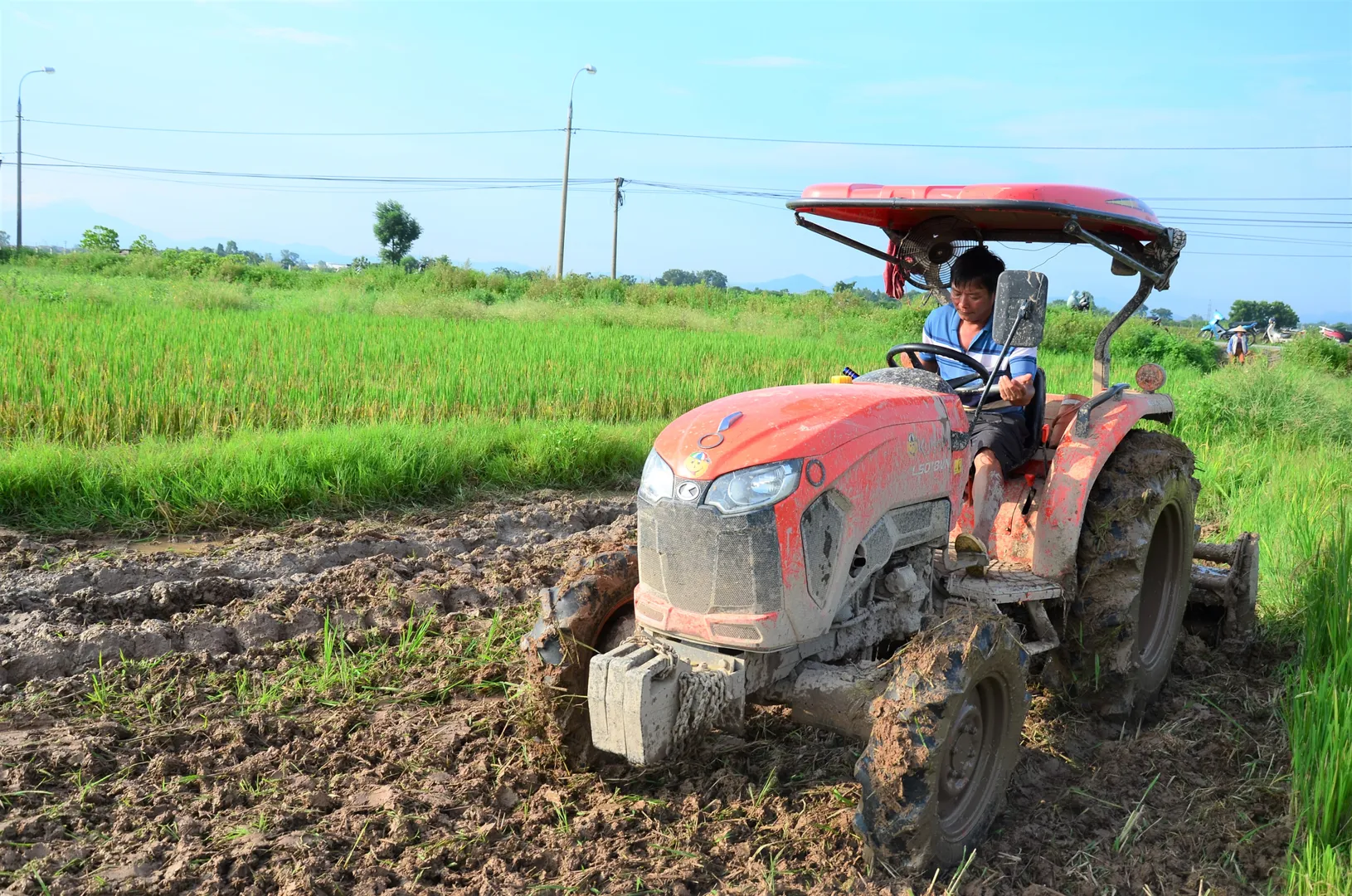 Làm giàu từ dịch vụ cơ giới hóa nông nghiệp