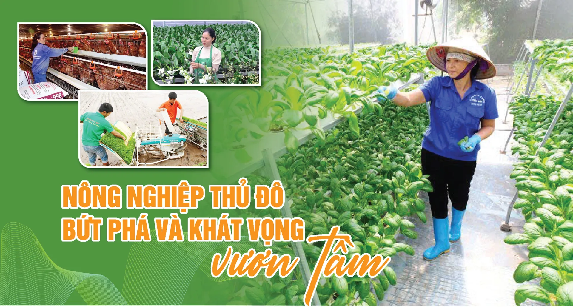 Nông nghiệp Thủ đô bứt phá và khát vọng vươn tầm