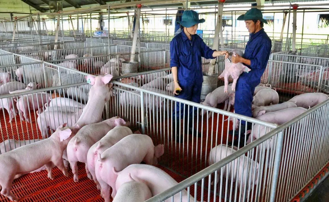 Phòng chống dịch bệnh động vật, bảo đảm nguồn cung thực phẩm Tết Ất Tỵ 2025