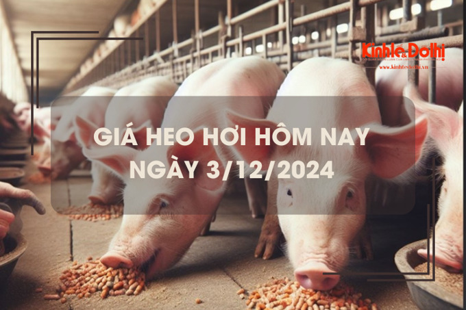 Giá heo hơi hôm nay 3/12: tăng giảm trái chiều tại miền Nam