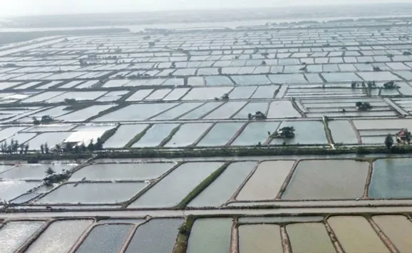 Nam Định: thu hồi hơn 21.000m2 đất vi phạm ở Cồn Xanh