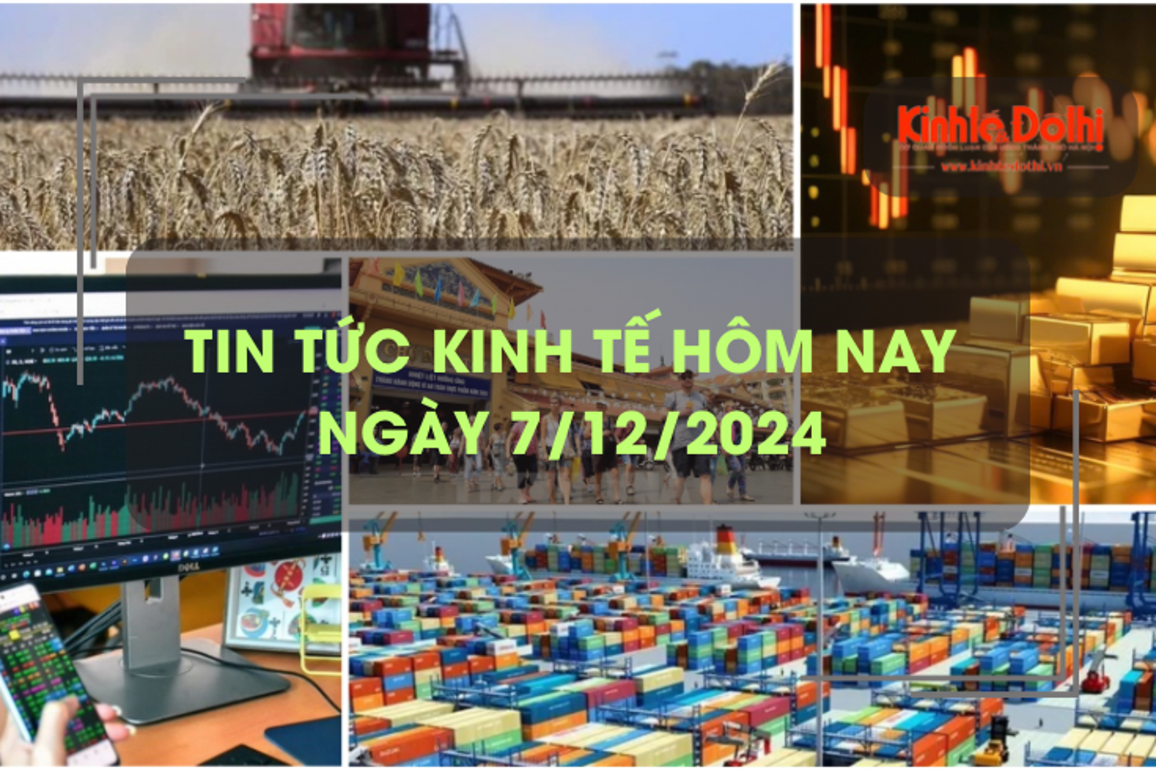 Tin tức kinh tế 7/12: giá lương thực thế giới tăng cao nhất trong 19 tháng