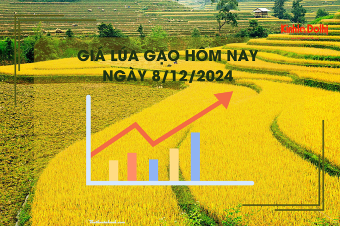 Giá lúa gạo hôm nay 8/12: giá gạo nhích nhẹ