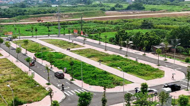 Sớm hoàn thiện hệ thống pháp lý về đấu giá
