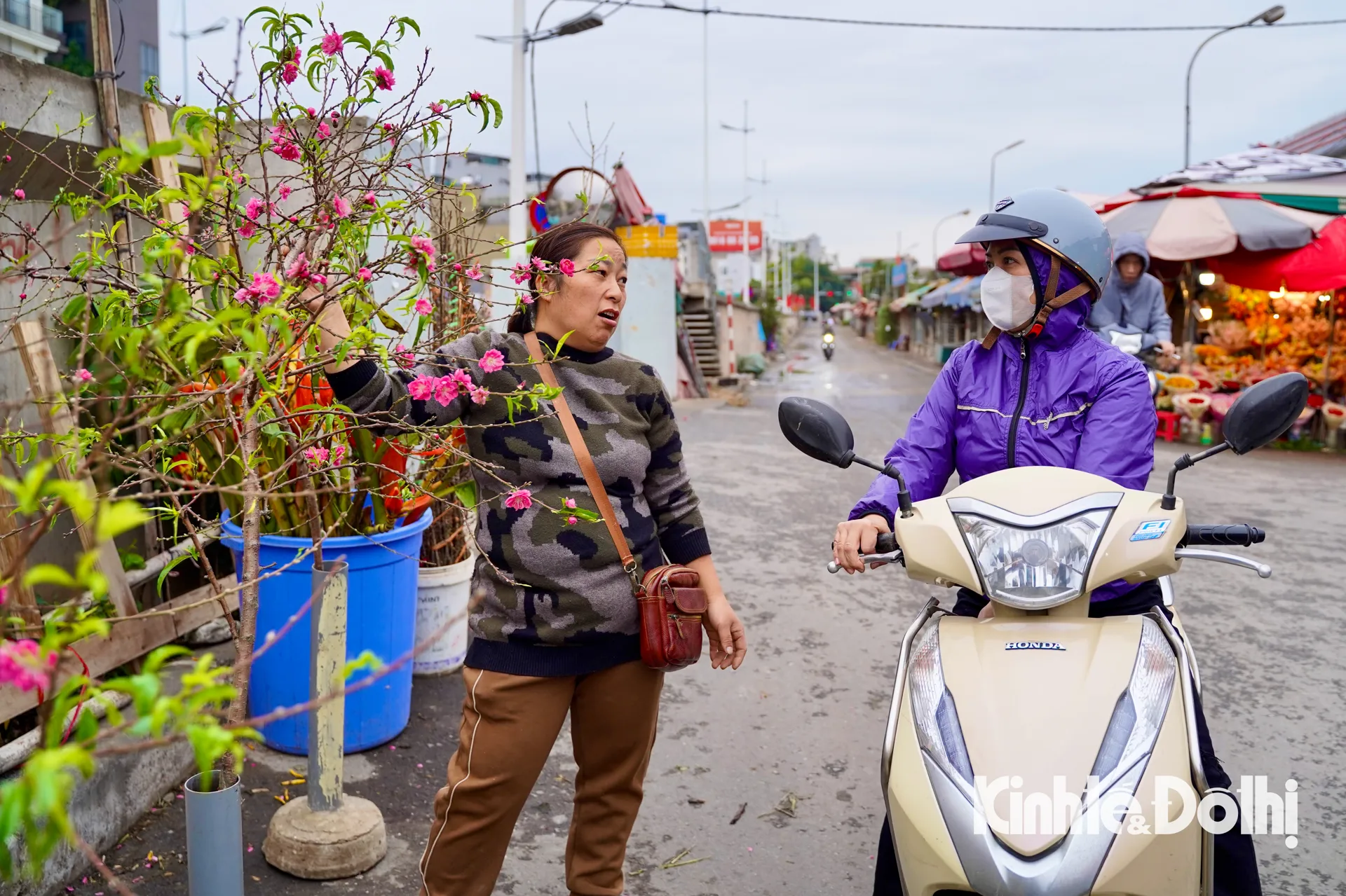Người dân Thủ đô thích thú ngắm hoa đào xuống phố