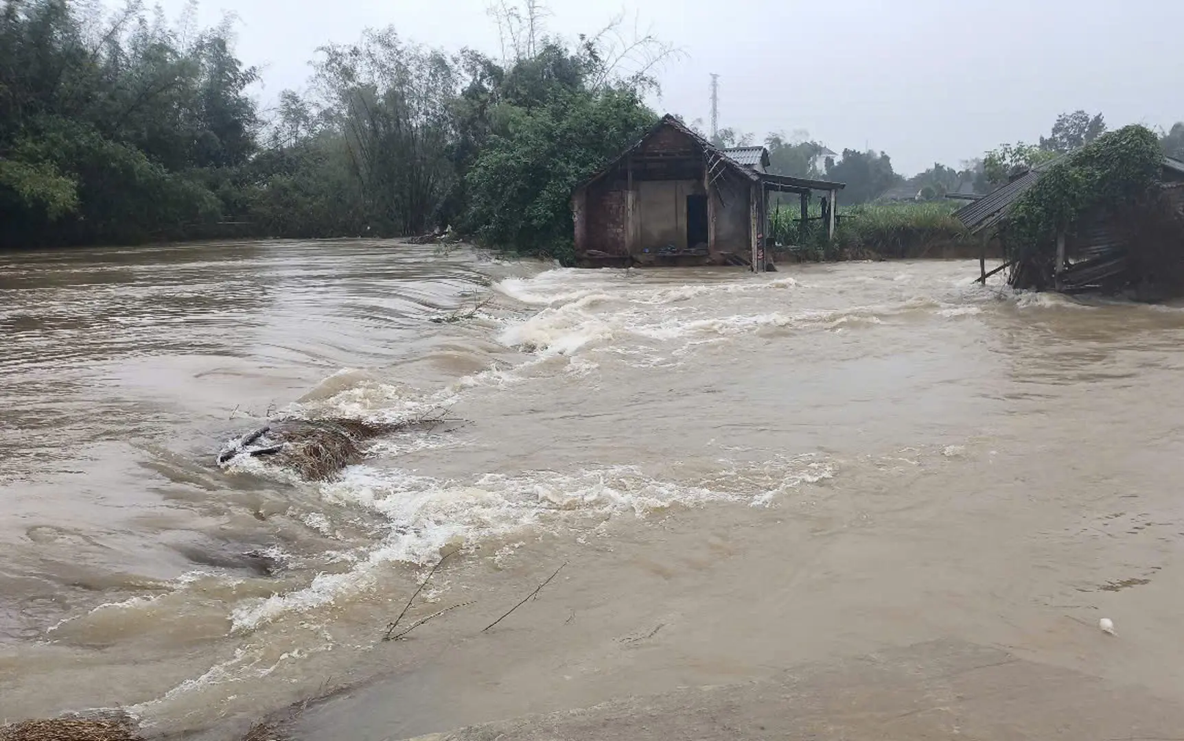 Mưa lớn ở Quảng Ngãi, lũ các sông lên nhanh