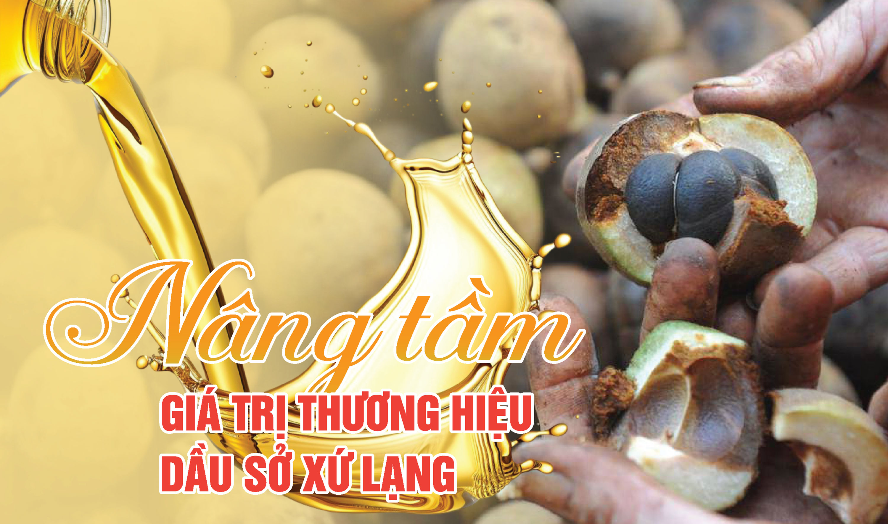 Nâng tầm giá trị thương hiệu dầu sở xứ Lạng