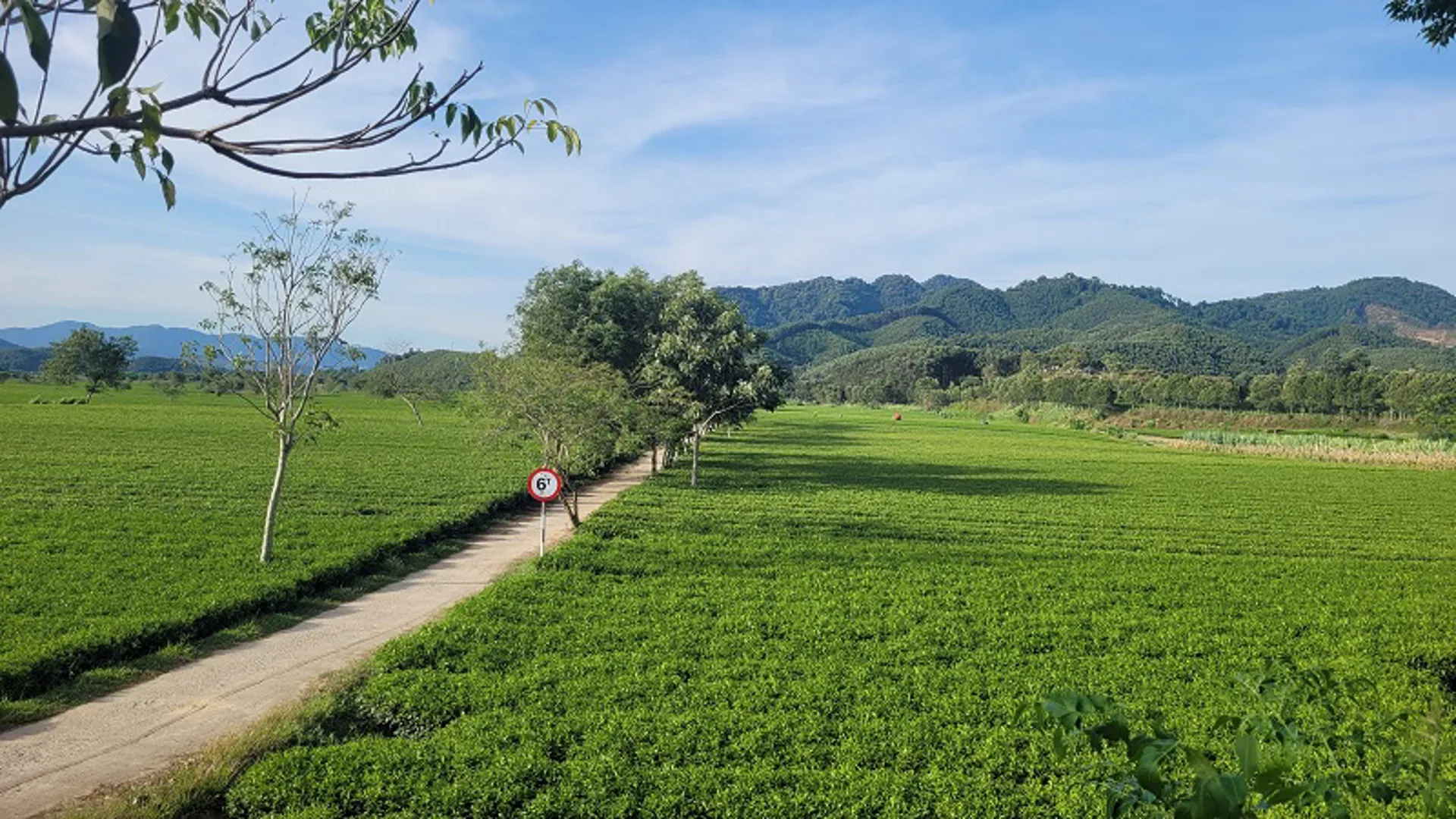 Hà Tĩnh: gần 1.300 ha cây trồng được cấp giấy chứng nhận VietGAP