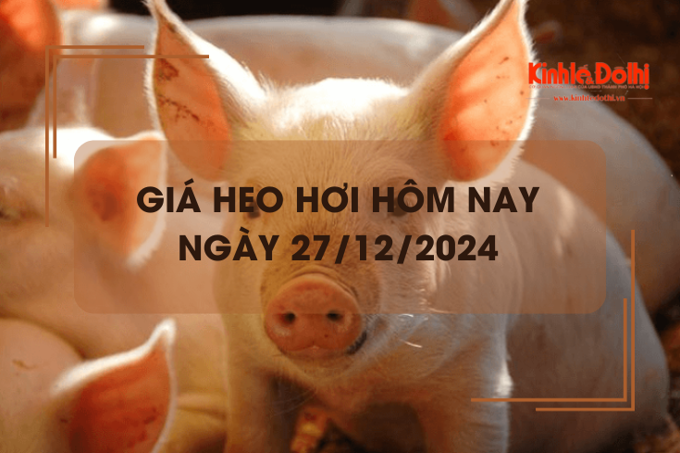 Giá heo hơi hôm nay 27/12: biến động trái chiều