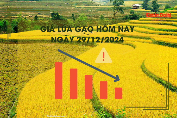 Giá lúa gạo hôm nay 29/12: tiếp đà giảm mạnh