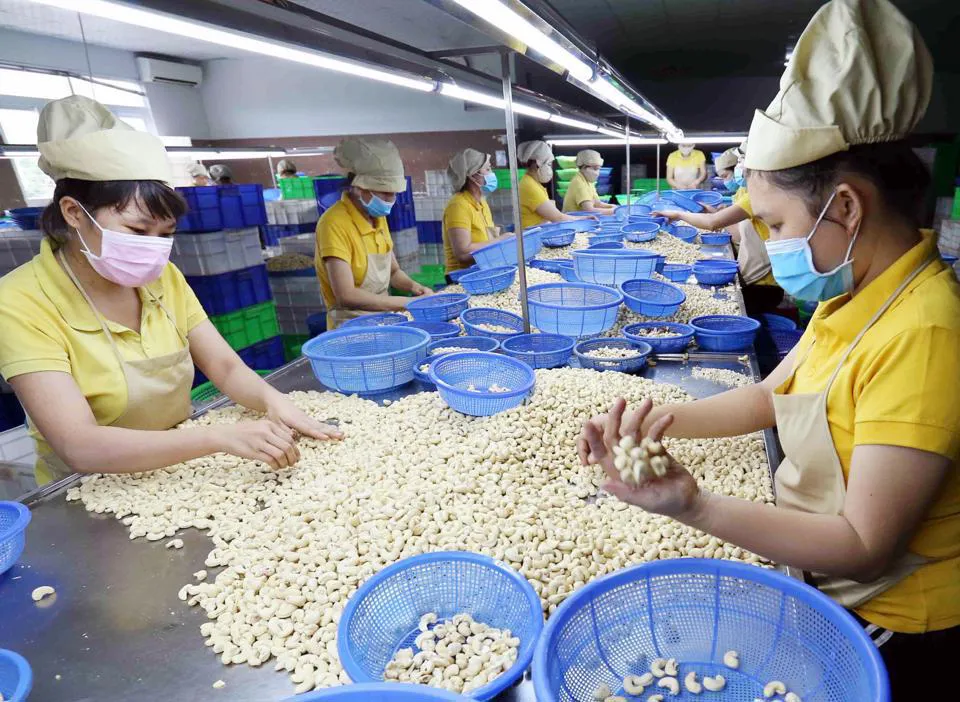 Thực thi hiệu quả các FTA: thúc đẩy hội nhập kinh tế quốc tế