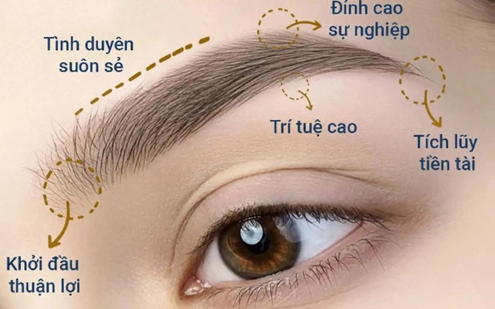 Ám ảnh... chân mày phong thủy