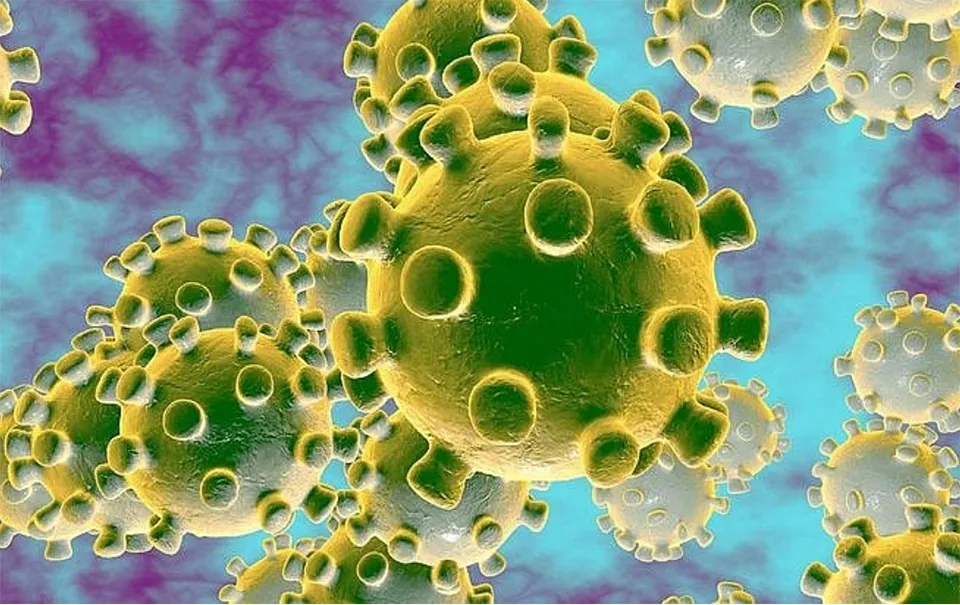 Bộ Y tế thông tin về bệnh do virus gây viêm phổi tại Trung Quốc