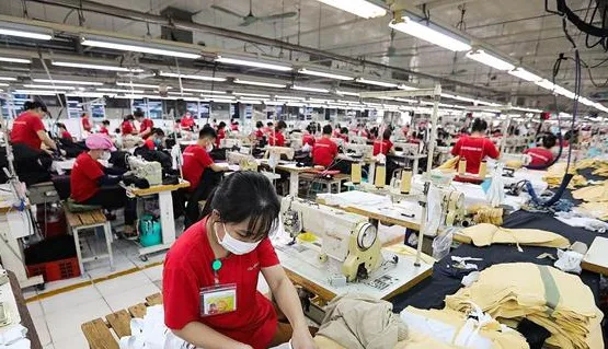 Hòa Bình: kim ngạch xuất khẩu năm 2024 tăng 18,2% so với cùng kỳ