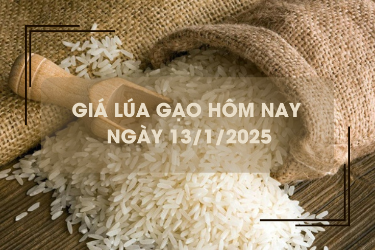 Giá lúa gạo hôm nay 13/1: giá gạo Việt xuống mức thấp nhất trong gần 2 năm