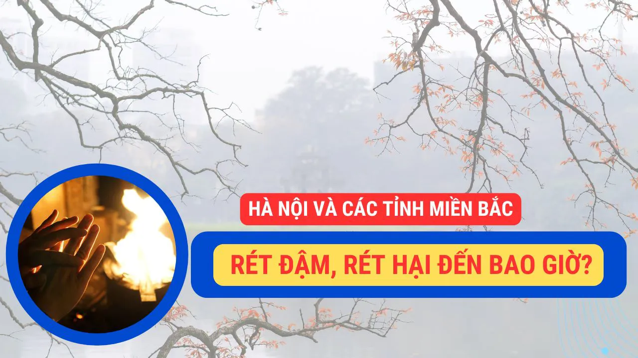 Ảnh podcast Ảnh podcast