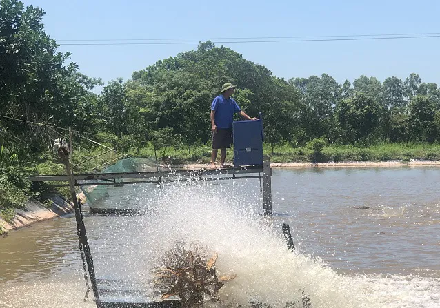 Hướng phát triển bền vững của nuôi trồng thủy sản Hà Nội