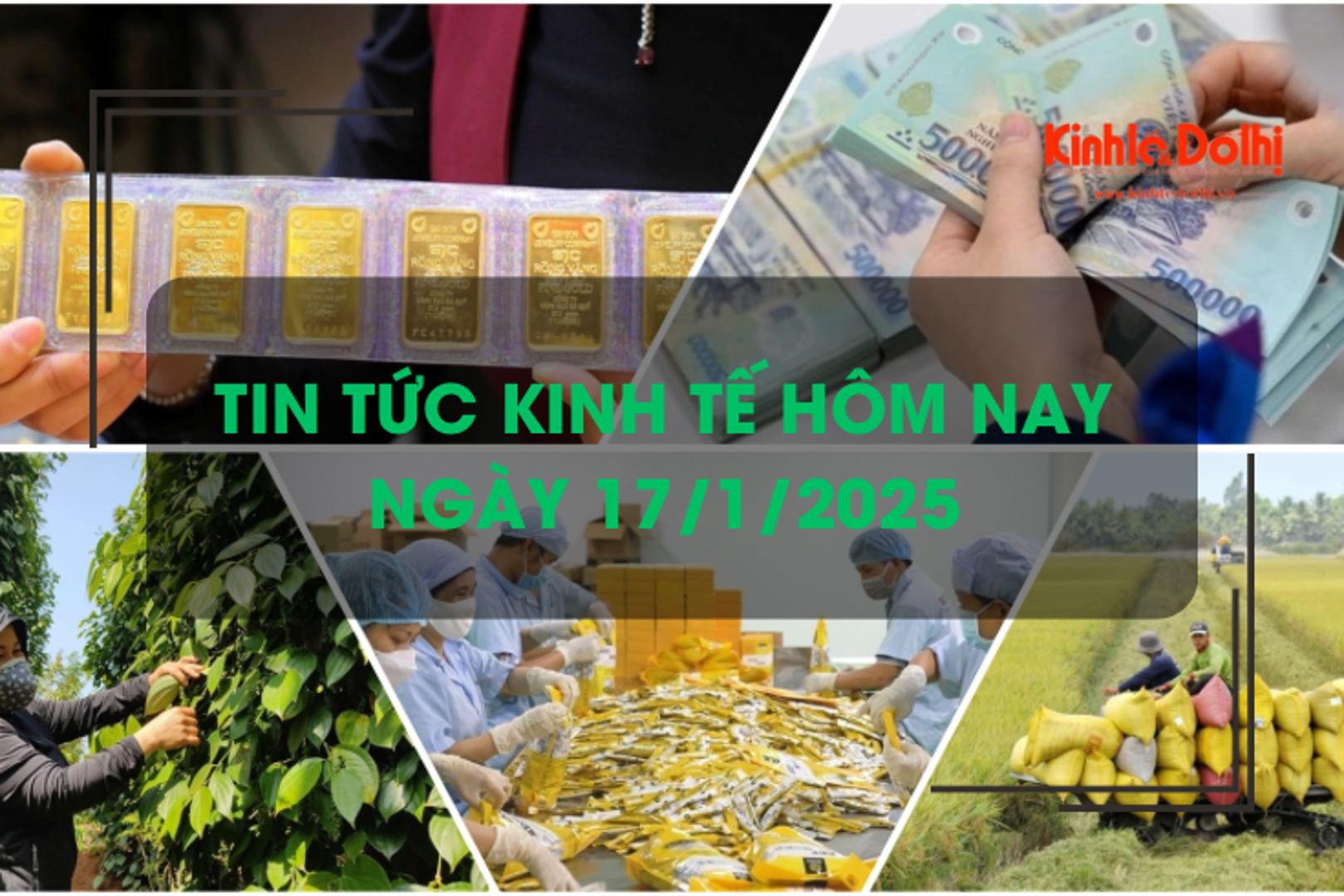 Tin tức kinh tế 17/1: Việt Nam sản xuất 1 triệu hecta lúa giảm phát thải