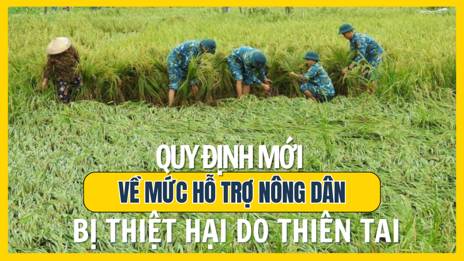 Quy định mới về mức hỗ trợ nông dân bị thiệt hại do thiên tai