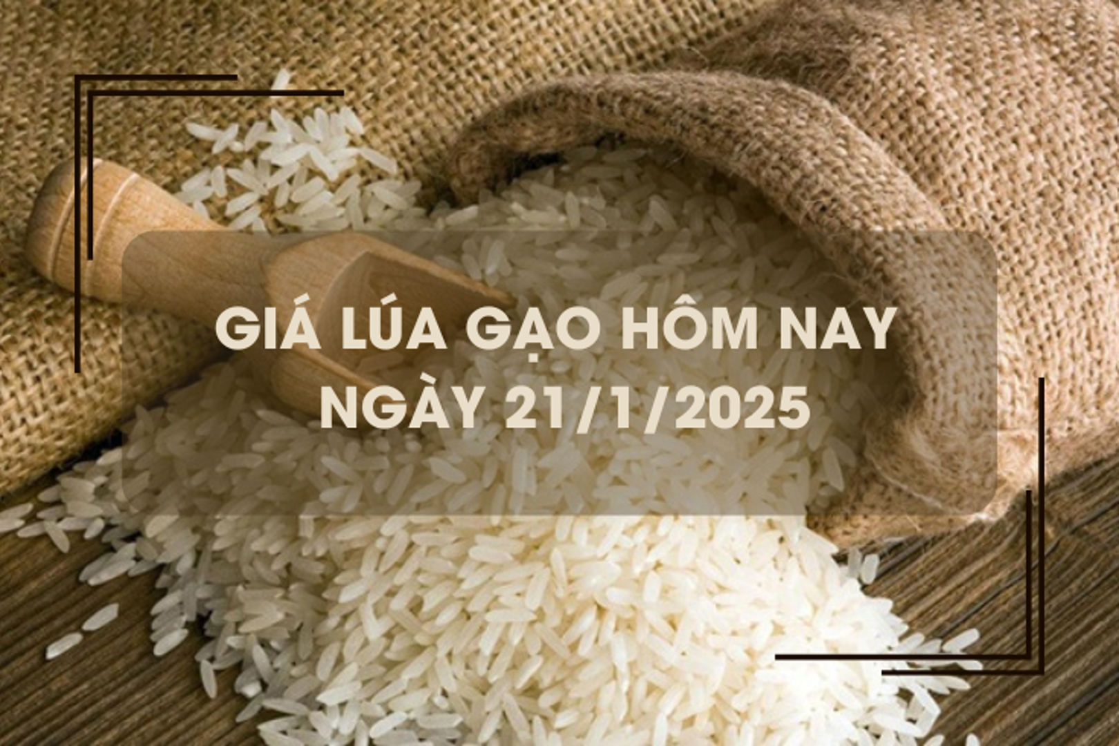 Giá lúa gạo hôm nay 21/1: giá gạo giảm nhẹ