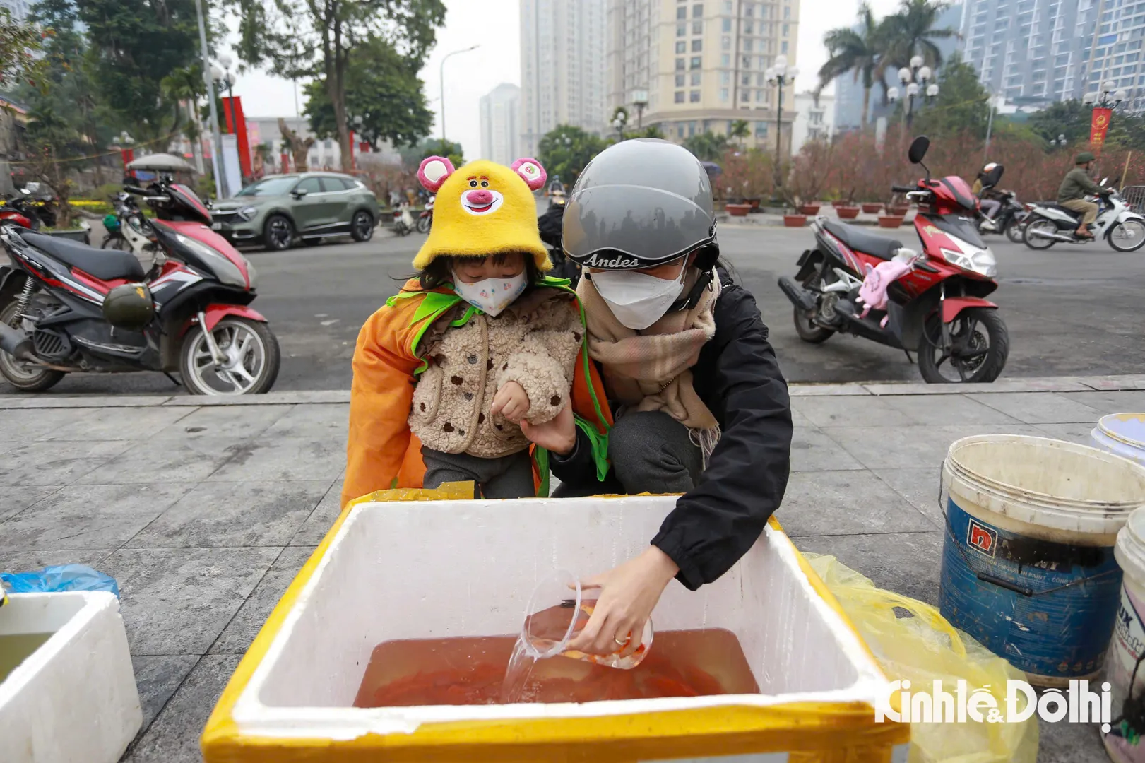 Hà Nội: người dân tấp nập thả cá chép tiễn ông Táo theo kiểu mới