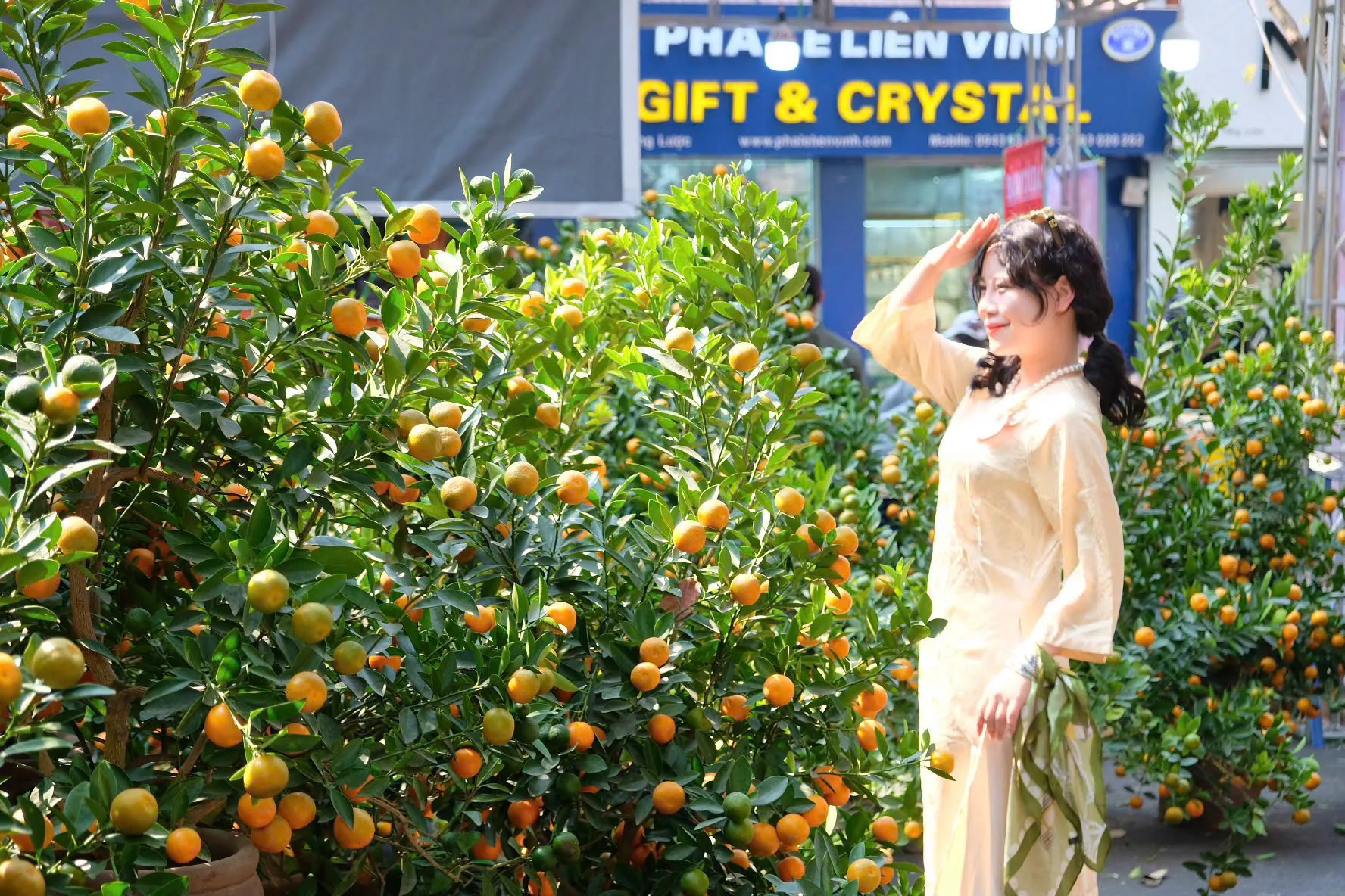 Chợ hoa Hàng Lược - nét văn hóa trăm năm của Tết Hà thành