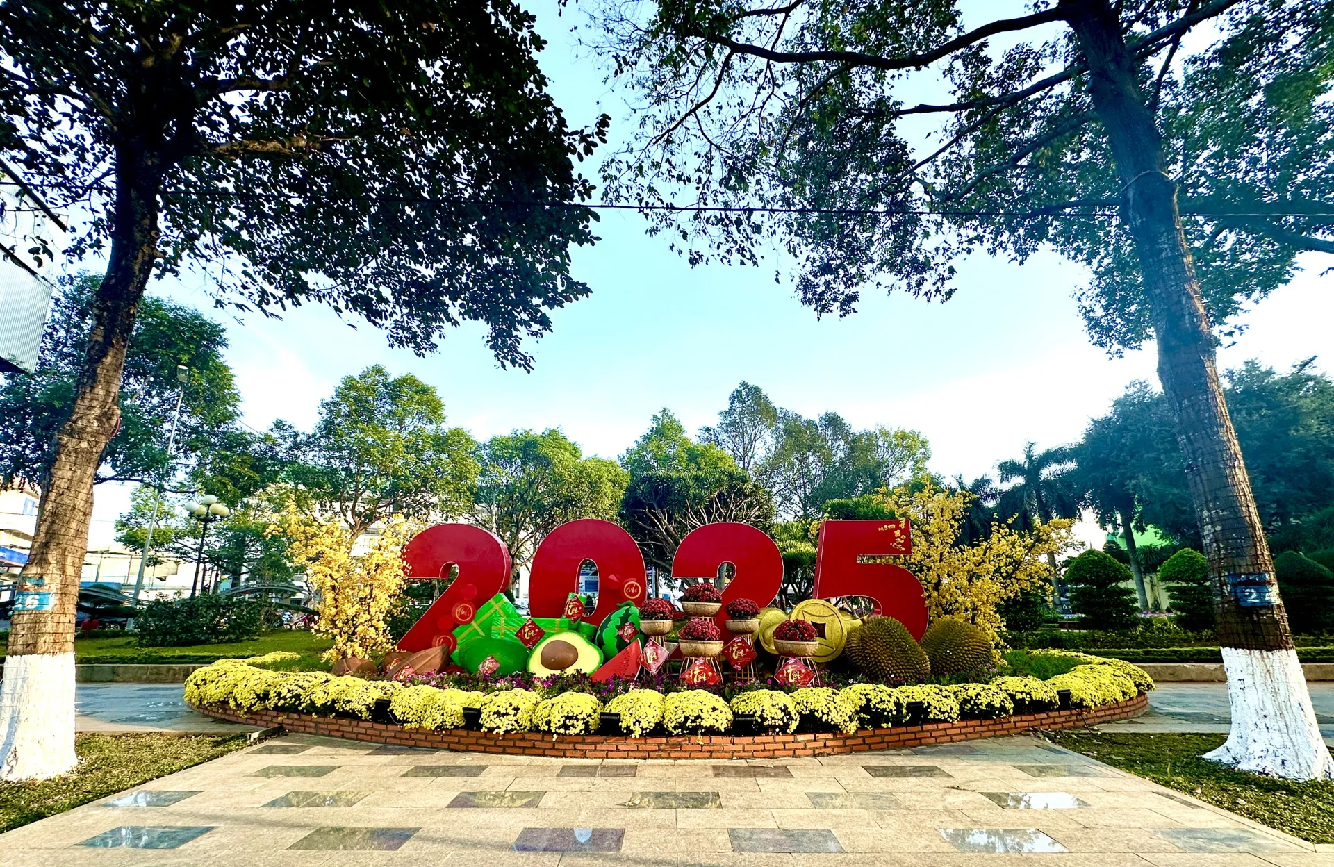 Rực rỡ sắc Xuân chợ hoa TP Buôn Ma Thuột